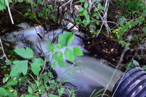 Sunshine Coast Stormwater