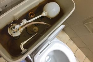 Sunshine Coast Toilet Repair Replacement